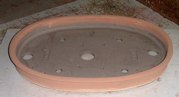 bonsai pot